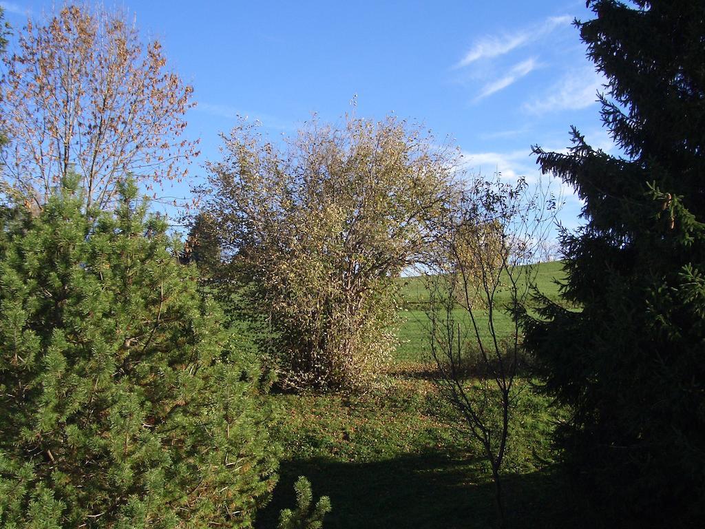 Füssen Gaestehaus Guggomos "Hopfen Am See" חדר תמונה
